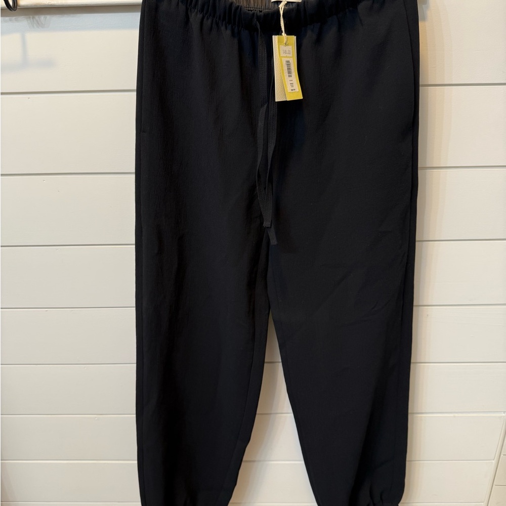 Aritzia Black Jogger Trouser - Marne Pant